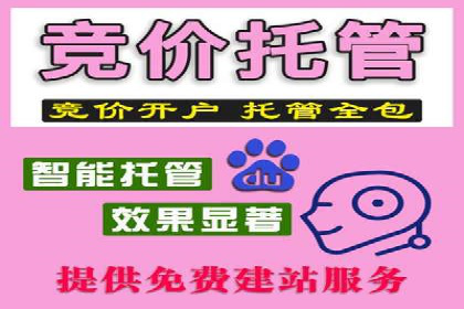 信息流推广策略调整：案例反思与改进