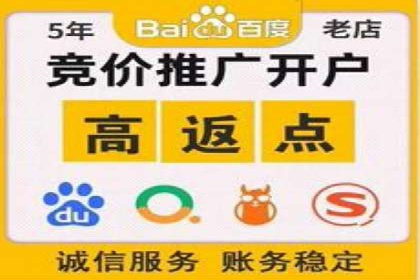 Sem优化公司成功案例：快速占领市场